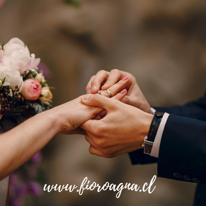 Como pedir matrimonio??