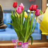 FLORERO DE TULIPANES